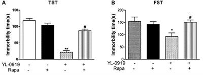 Hypidone Hydrochloride (YL-0919) Produces a Fast-Onset Reversal of the Behavioral and Synaptic Deficits Caused by Chronic Stress Exposure